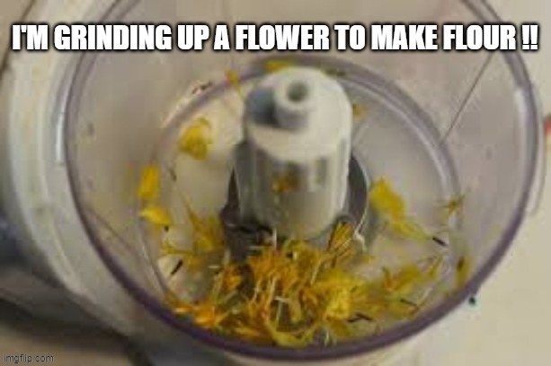 I'm grinding up a flower to make flour.    --  funny  -- | image tagged in funny,humor,play on words,cooking,funny meme | made w/ Imgflip meme maker