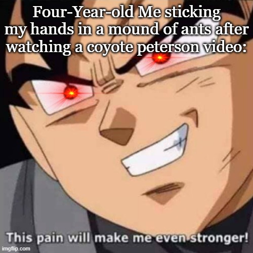 Entering the sting zone | Four-Year-old Me sticking my hands in a mound of ants after watching a coyote peterson video: | image tagged in this pain will make me even stronger,goku black,dbz,memes,coyote,idk | made w/ Imgflip meme maker