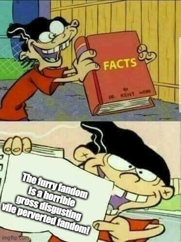 FURRIES SUCK!!!!!! | The furry fandom is a horrible gross disgusting vile perverted fandom! | image tagged in double d facts book,memes,furries suck | made w/ Imgflip meme maker