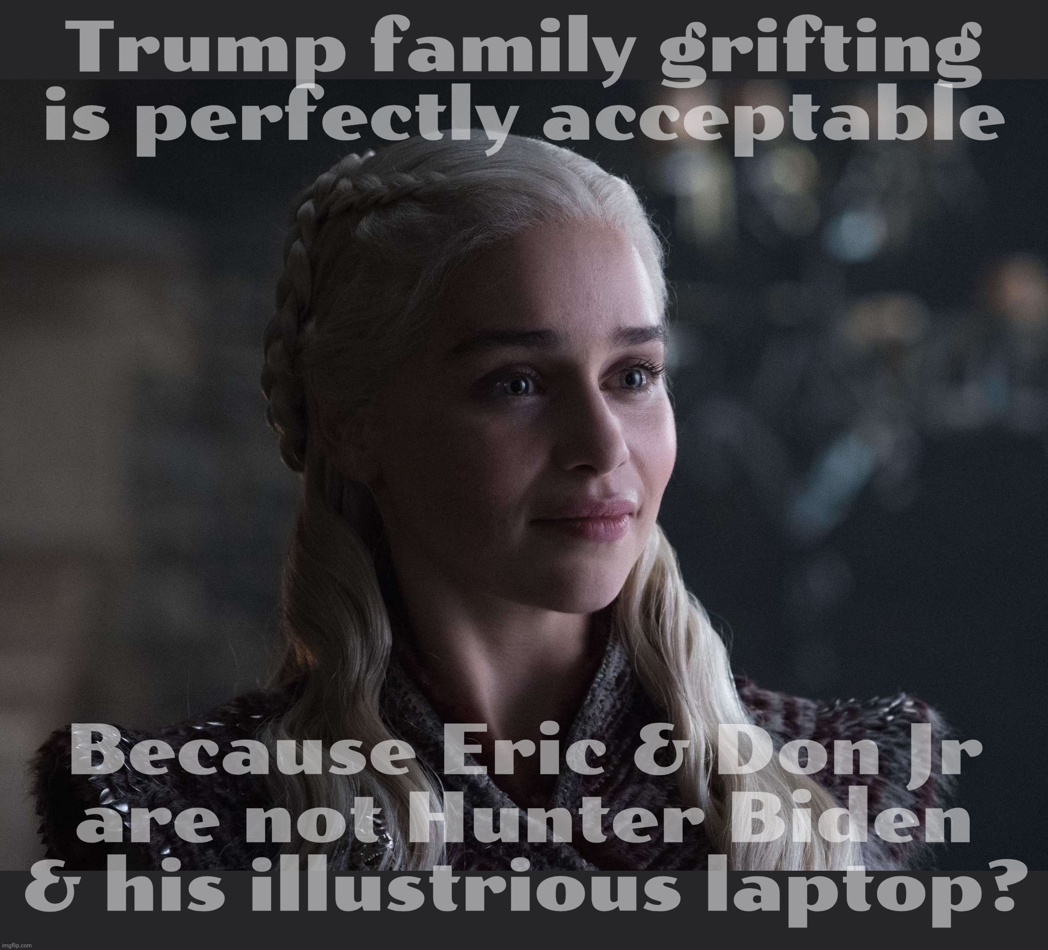 Daenerys | Trump family grifting is perfectly acceptable; Because Eric & Don Jr
are not Hunter Biden & his illustrious laptop? | image tagged in daenerys | made w/ Imgflip meme maker