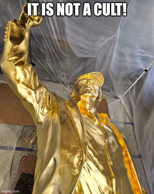 Not a cult! | It is not a cult! | image tagged in donald trump,trump,maga,nevertrump,trump supporters,trump supporter | made w/ Imgflip meme maker