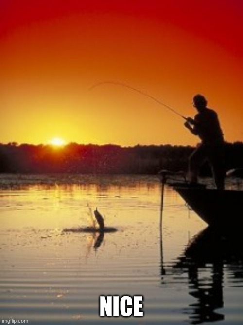 Fishing | nice | image tagged in fishing | made w/ Imgflip meme maker