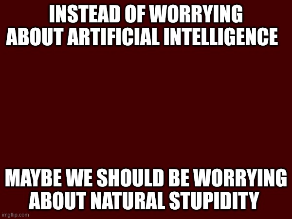 Instead of worrying about Artificial Intelligence; Maybe we should be worrying about Natural Stupidity | made w/ Imgflip meme maker