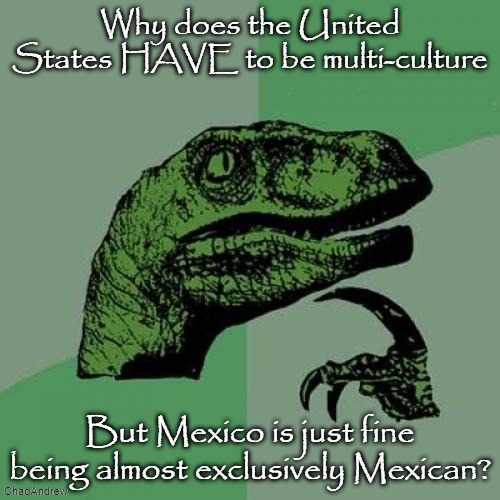 The left fights for the U.S. to be overrun by multi-culture and for whites to be the minority, but Mexico is fine the way it is. | Why does the United States HAVE to be multi-culture; But Mexico is just fine being almost exclusively Mexican? | image tagged in memes,philosoraptor,united states,mexico,multi culture,democrats | made w/ Imgflip meme maker