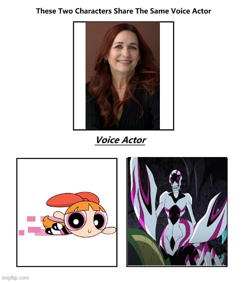 Catherine Cavadini | image tagged in same voice actor,catherine cavadini,powerpuff girls,teen titans,dc comics,cartoon network | made w/ Imgflip meme maker