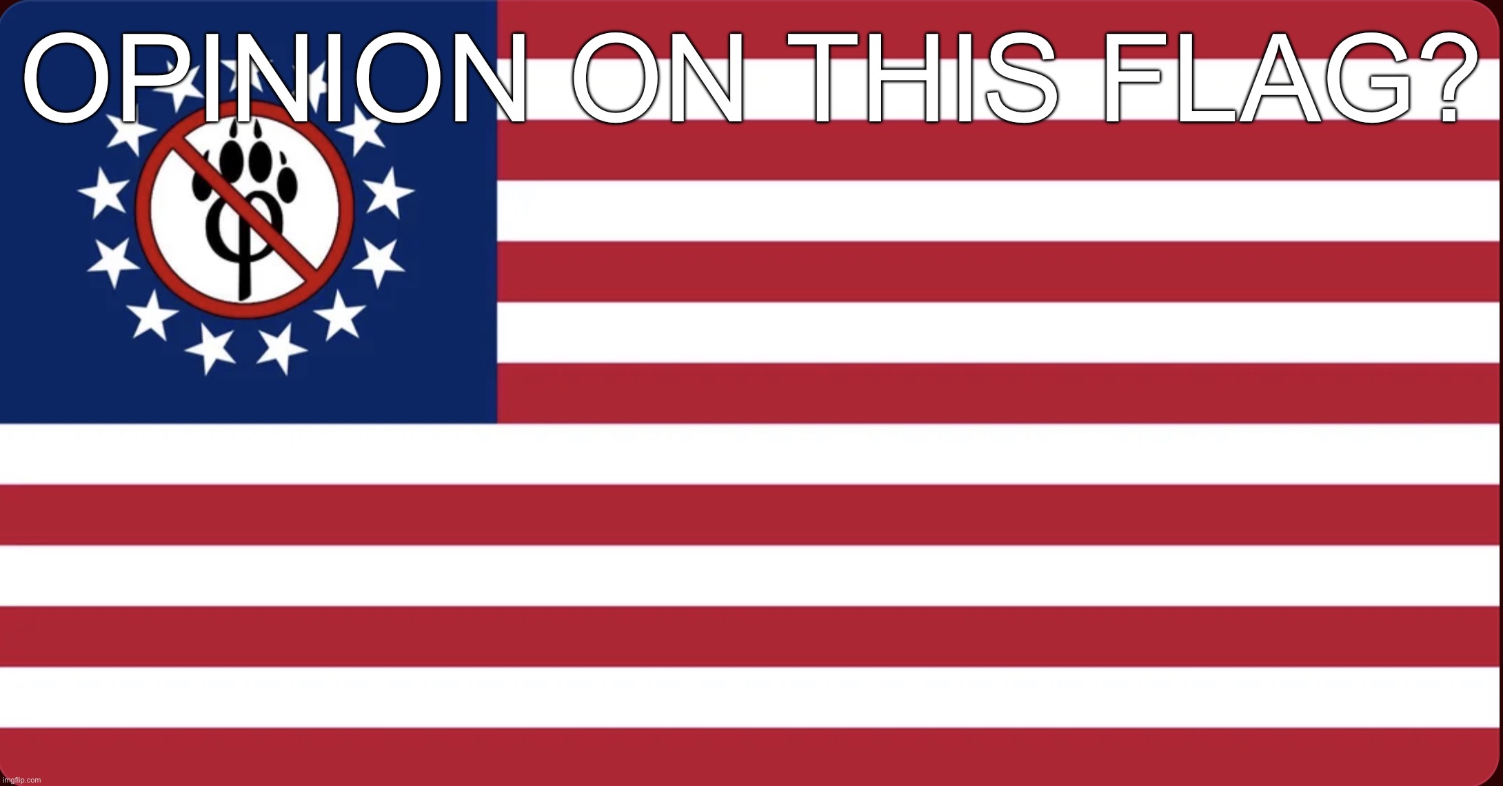 American Anti Furry Flag | opinion on this flag? | image tagged in american anti furry flag | made w/ Imgflip meme maker
