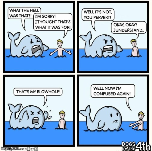 I love how implied the context is | image tagged in comics,dark humor,whale,hole,sex,blowing | made w/ Imgflip meme maker