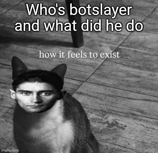 ts so kafkaesque | Who's botslayer and what did he do | image tagged in ts so kafkaesque | made w/ Imgflip meme maker