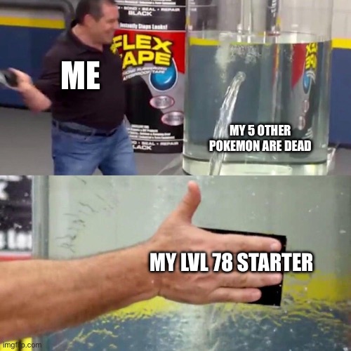 This is how I beat Cynthia in Diamond btw | Me; My 5 other Pokemon are dead; My lvl 78 starter | image tagged in water tank leaking fix,funny memes,pokemon | made w/ Imgflip meme maker