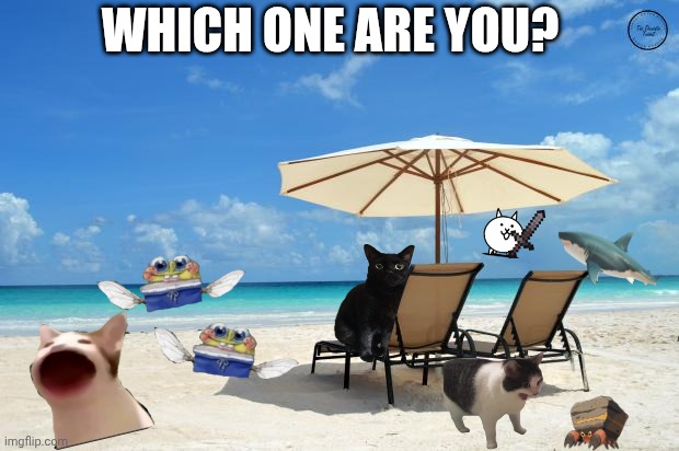 Beach | Which one are you? | image tagged in beach | made w/ Imgflip meme maker