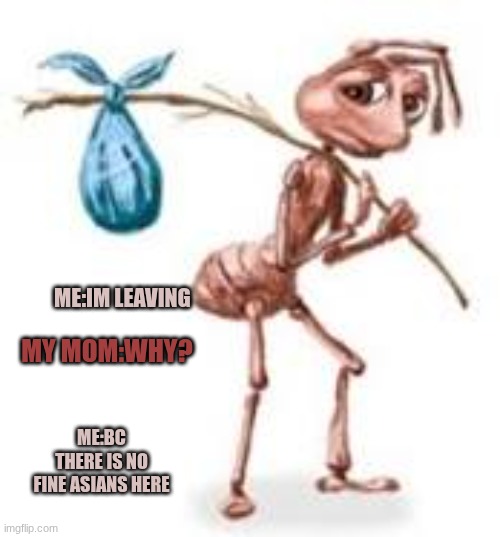 Sad ant with bindle | me:im leaving; my mom:why? me:Bc there is no fine asians here | image tagged in sad ant with bindle | made w/ Imgflip meme maker