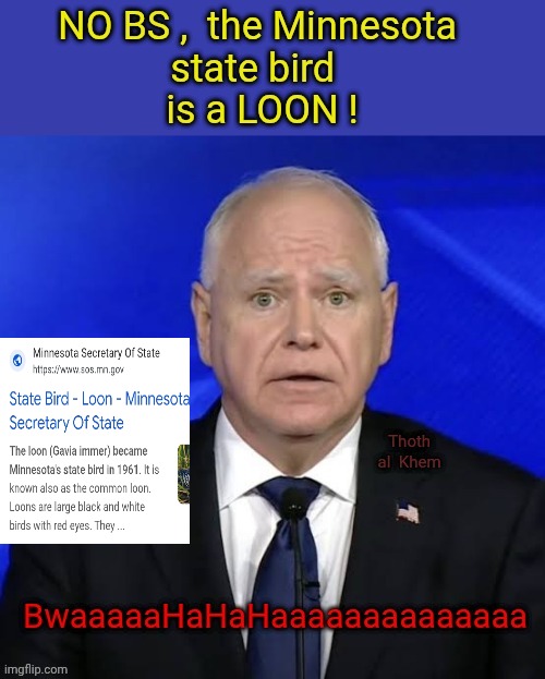 Tim Walz. Minnesota state bird a LOON ? | image tagged in traitor tim walz,looney tim walz,traitor tim walz sucks,tim walz for prison,thoth al khem | made w/ Imgflip meme maker