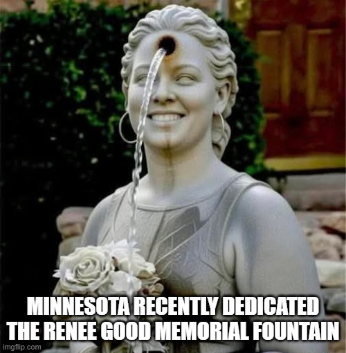 Too Soon? | Minnesota recently dedicated the Renee Good Memorial Fountain | image tagged in politics,minnesota | made w/ Imgflip meme maker