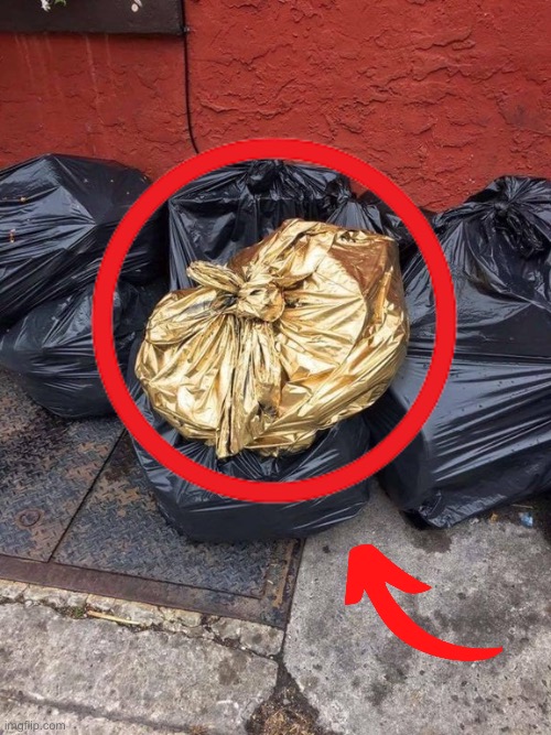 Golden Trash Bag | image tagged in golden trash bag | made w/ Imgflip meme maker