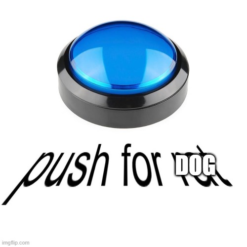 push for dog | dog | image tagged in push for rat | made w/ Imgflip meme maker