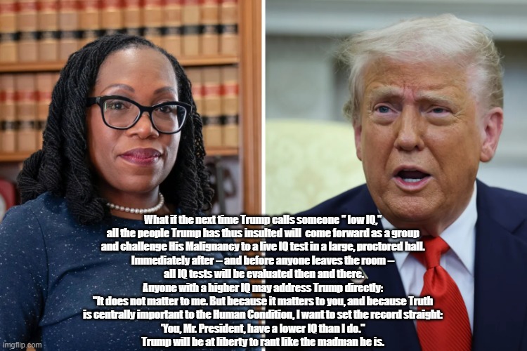 Who Has The Lower IQ? The People (Mostly Women) Whom Trump Rants At? Or, His Malignancy Himself? | What if the next time Trump calls someone " low IQ," 
all the people Trump has thus insulted will  come forward as a group 
and challenge His Malignancy to a live IQ test in a large, proctored hall. 
Immediately after -- and before anyone leaves the room -- 
all IQ tests will be evaluated then and there.

Anyone with a higher IQ may address Trump directly: 
"It does not matter to me. But because it matters to you, and because Truth 
is centrally important to the Human Condition, I want to set the record straight: 
'You, Mr. President, have a lower IQ than I do." 
Trump will be at liberty to rant like the madman he is. | image tagged in low iq,donald trump,supreme court justice ketanji brown | made w/ Imgflip meme maker