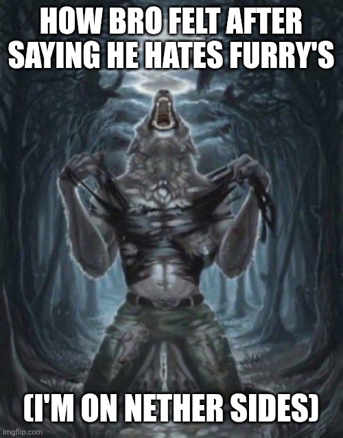alpha wolf | How bro felt after saying he hates furry's (I'm on nether sides) | image tagged in alpha wolf | made w/ Imgflip meme maker