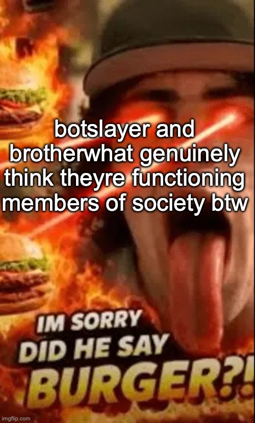 brotherwhat is pushing 17 btw, how does a human become this corny and insecure | botslayer and brotherwhat genuinely think theyre functioning members of society btw | image tagged in did he say burger | made w/ Imgflip meme maker