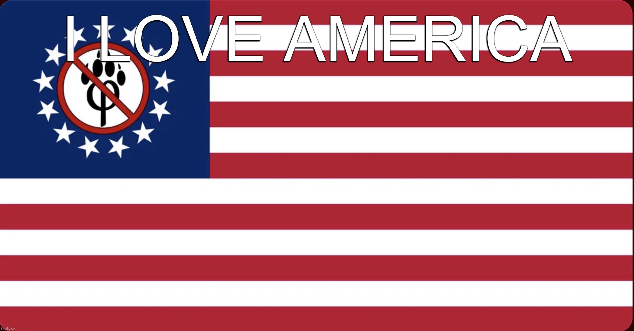 American Anti Furry Flag | i love america | image tagged in american anti furry flag | made w/ Imgflip meme maker