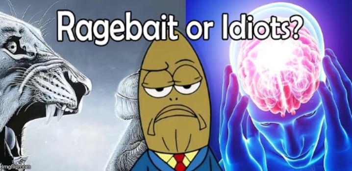Ragebait or Idiots? | image tagged in ragebait or idiots | made w/ Imgflip meme maker