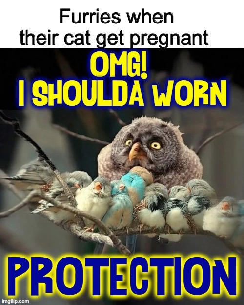 Zoophiles :( | Furries when their cat get pregnant | made w/ Imgflip meme maker