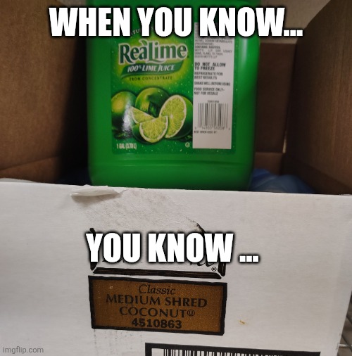 Lime in the Coconut | When you know... You know ... | image tagged in lime in the coconut | made w/ Imgflip meme maker