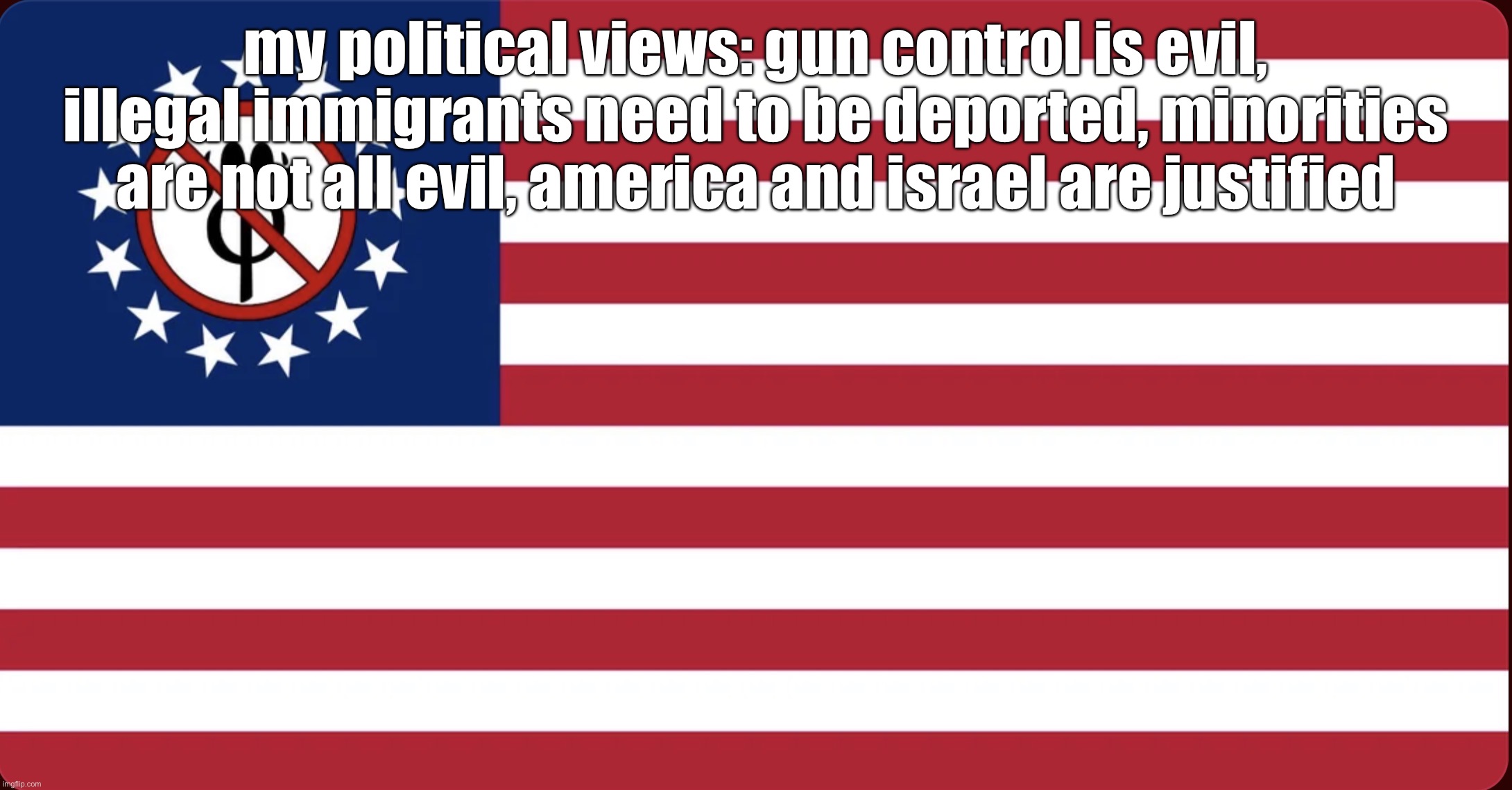 American Anti Furry Flag | my political views: gun control is evil, illegal immigrants need to be deported, minorities are not all evil, america and israel are justified | image tagged in american anti furry flag | made w/ Imgflip meme maker