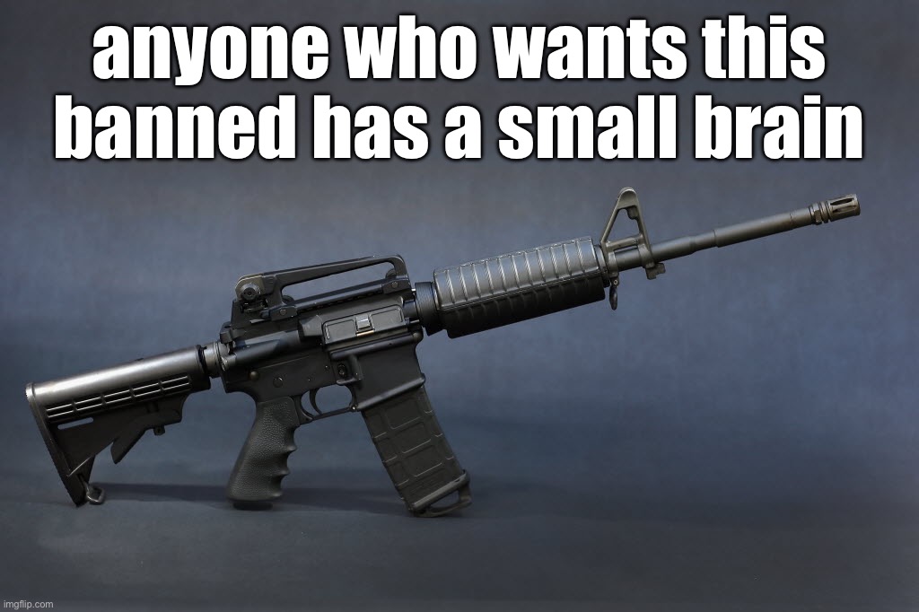 AR-15 | anyone who wants this banned has a small brain | image tagged in ar-15 | made w/ Imgflip meme maker
