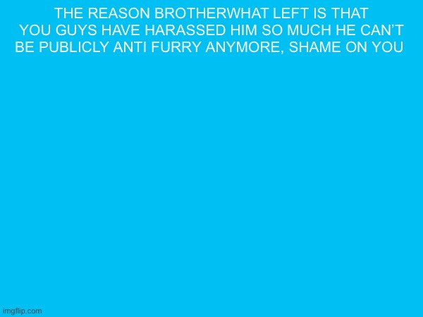 the reason brotherwhat left is that you guys have harassed him so much he can’t be publicly anti furry anymore, shame on you | made w/ Imgflip meme maker