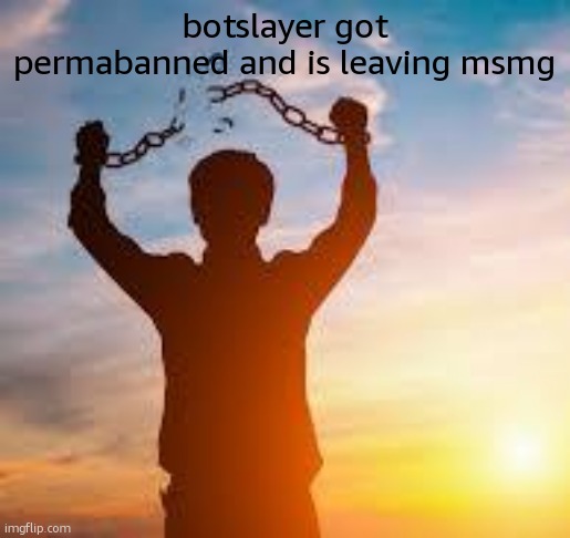 im gonna miss bullying him. but hey all things, good and bad, must come to an end. | botslayer got permabanned and is leaving msmg | image tagged in im free | made w/ Imgflip meme maker