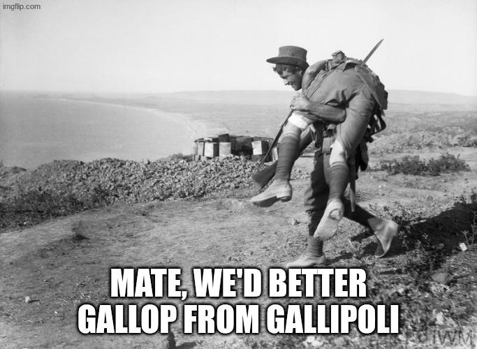 Gallop from Gallipoli | Mate, we'd better gallop from Gallipoli | image tagged in wwii,history memes | made w/ Imgflip meme maker