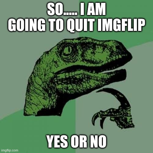 the final meme is coming | SO..... I am going to quit IMGFLIP; YES or NO | image tagged in memes,philosoraptor | made w/ Imgflip meme maker