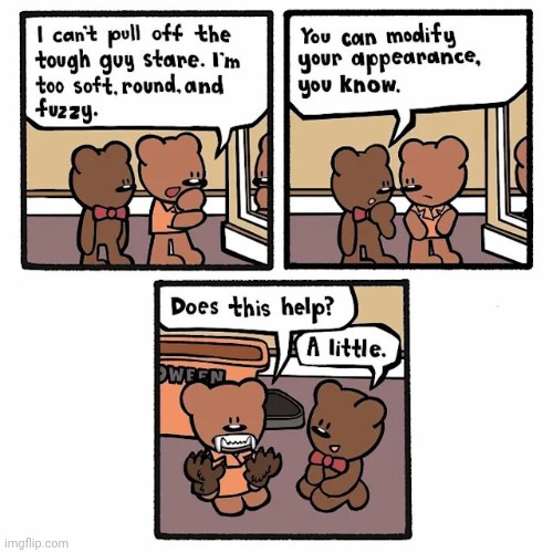 Oh so tough | image tagged in bears,bear,comics,comics/cartoons,appearance,tough | made w/ Imgflip meme maker