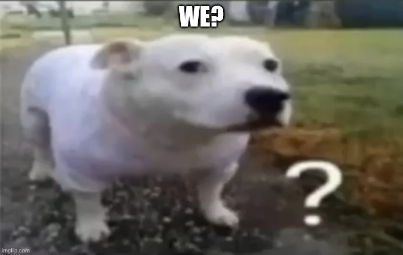 We? | made w/ Imgflip meme maker