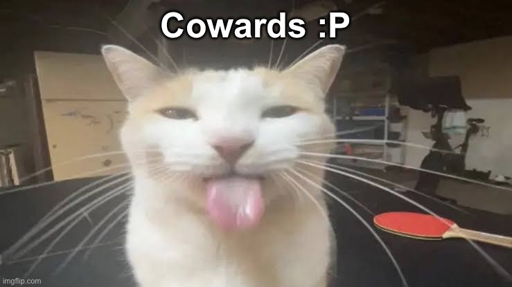 Fine, I’ll do it myself. | Cowards :P | image tagged in milly the silly cat bleh cat | made w/ Imgflip meme maker