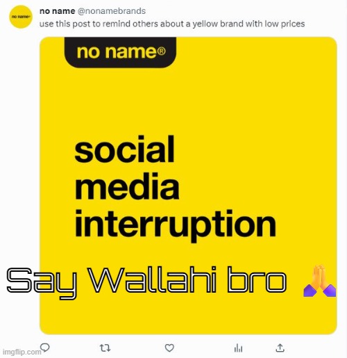 Say Wallahi bro | Say Wallahi bro 🙏 | image tagged in say wallahi bro | made w/ Imgflip meme maker