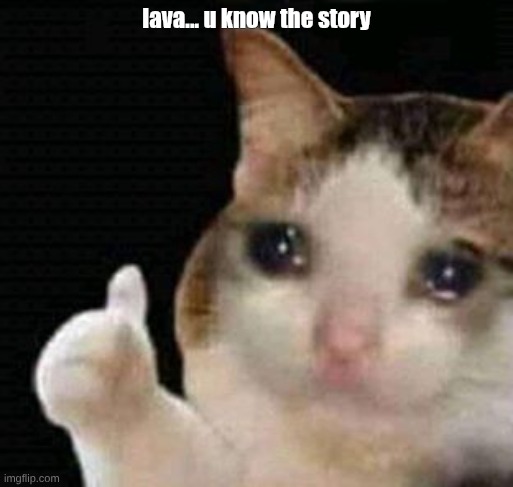 it fell...)*+*( <(+-+)>)*+*( <(+-+)>)*+*( <(+-+)>)*+*( <(+-+)> | lava... u know the story | image tagged in sad thumbs up cat | made w/ Imgflip meme maker