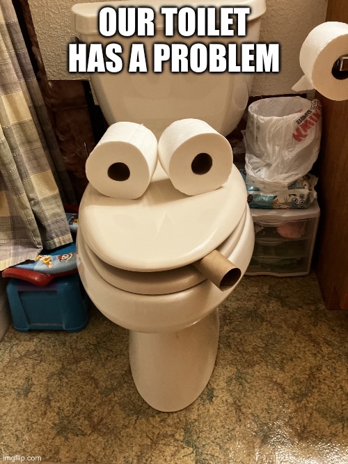 IMG_2555.jpeg | Our toilet has a problem | image tagged in img_2555 jpeg | made w/ Imgflip meme maker