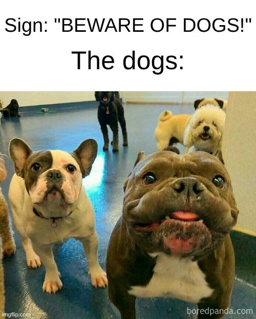 Always the rednecks that have those stupid signs | Sign: "BEWARE OF DOGS!"; The dogs: | image tagged in white trash,hillbilly,redneck | made w/ Imgflip meme maker