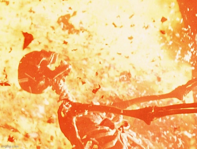 image tagged in fire skeleton | made w/ Imgflip meme maker