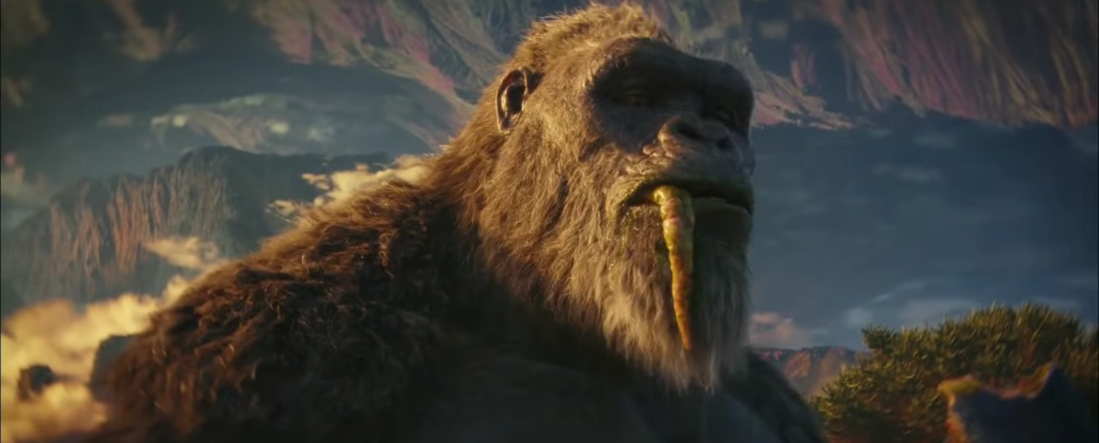 Kong eating squid 2 Blank Meme Template