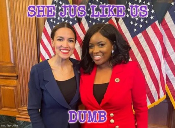 AOC CROCKETT | She jus like US DUMB | image tagged in aoc crockett | made w/ Imgflip meme maker