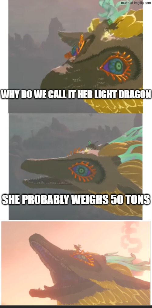 Sorry | Why do we call it her light dragon; She probably weighs 50 tons | image tagged in bad pun light dragon | made w/ Imgflip meme maker