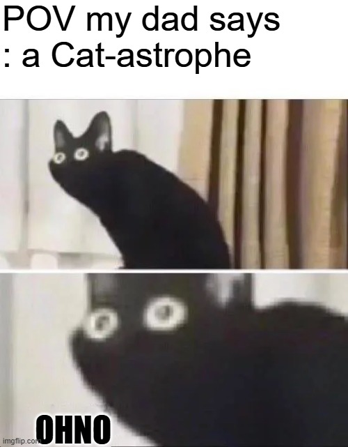 OHNO | POV my dad says : a Cat-astrophe; OHNO | image tagged in oh no black cat | made w/ Imgflip meme maker