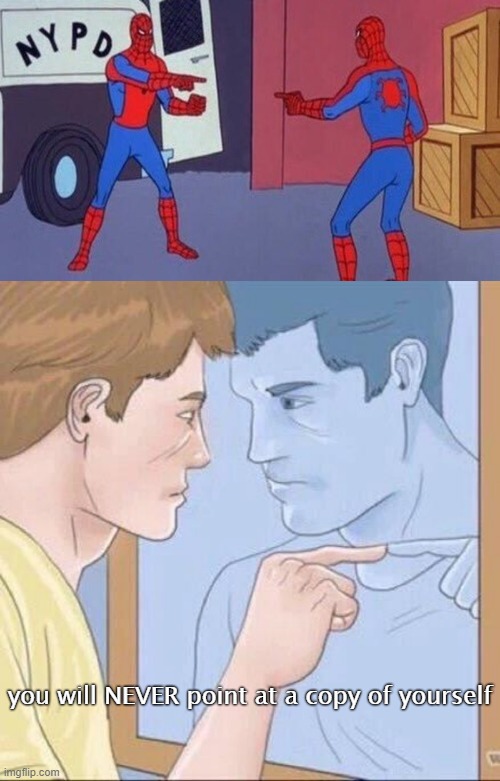 you will NEVER point at a copy of yourself | image tagged in spiderman pointing at spiderman,pointing mirror guy | made w/ Imgflip meme maker