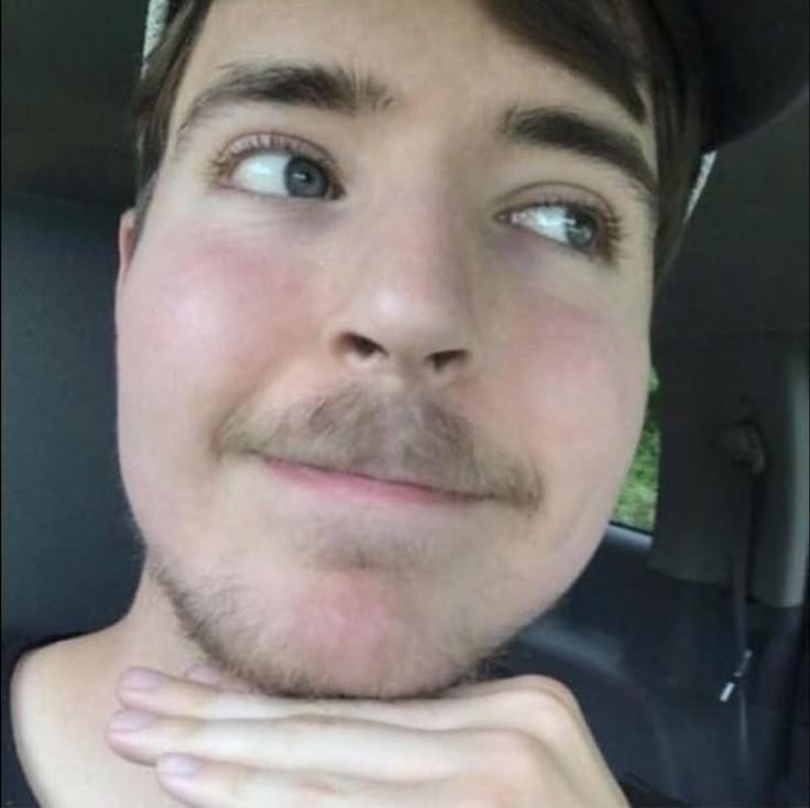 mr beast cutesy Blank Meme Template