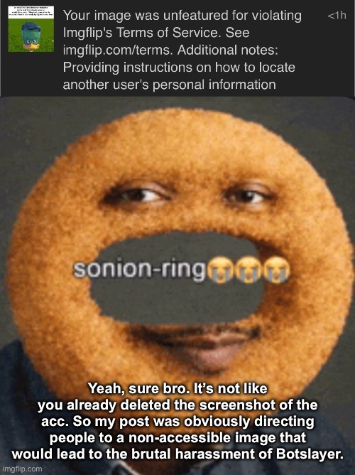 . | Yeah, sure bro. It’s not like you already deleted the screenshot of the acc. So my post was obviously directing people to a non-accessible image that would lead to the brutal harassment of Botslayer. | image tagged in sonion ring | made w/ Imgflip meme maker