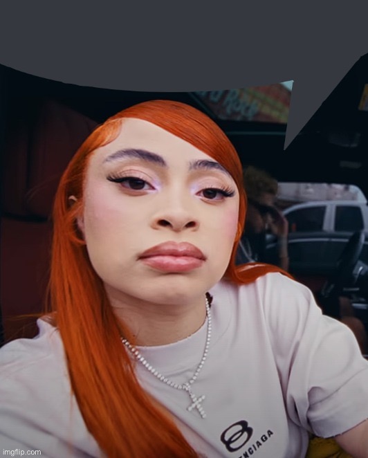 Ice Spice Speech bubble | image tagged in ice spice speech bubble,msmg | made w/ Imgflip meme maker