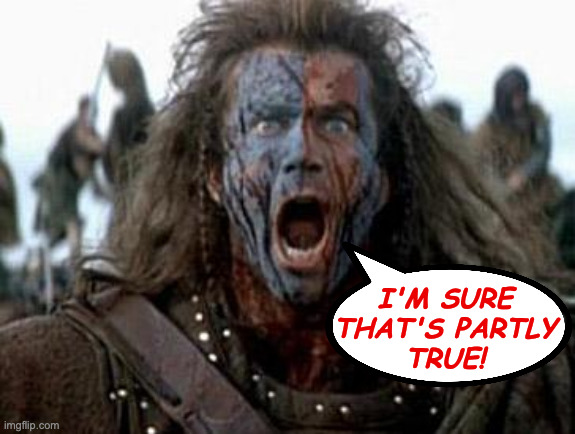 Braveheart  | i'm sure
that's partly
true! | image tagged in braveheart | made w/ Imgflip meme maker