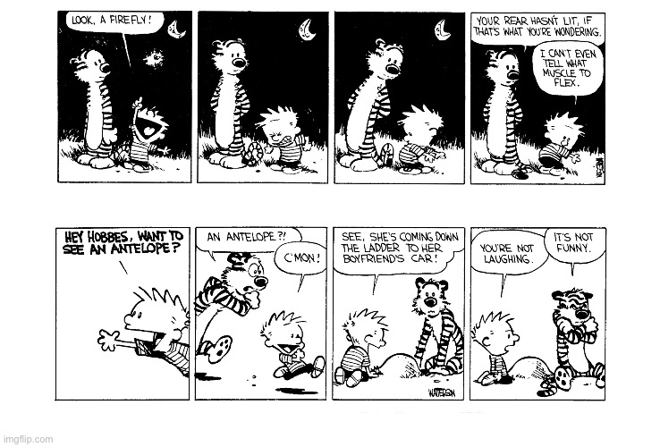 image tagged in calvin and hobbes,comics | made w/ Imgflip meme maker